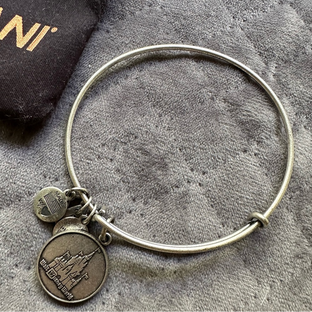 Alex & Ani - Disney World Charm Bracelet